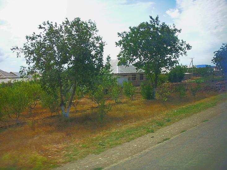 Брянське з panoramio.com - Брянское