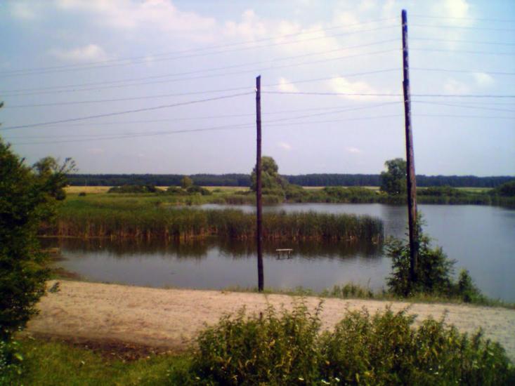 Облапи з panoramio.com - Oblapy