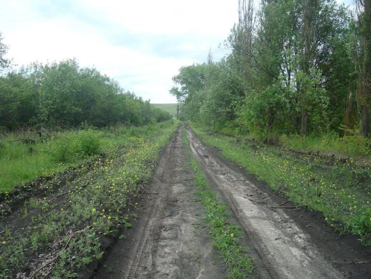 Стуфчинці з panoramio.com - Стуфчинцы