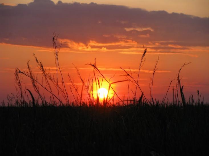 Товкачівка з panoramio.com - Товкачівка