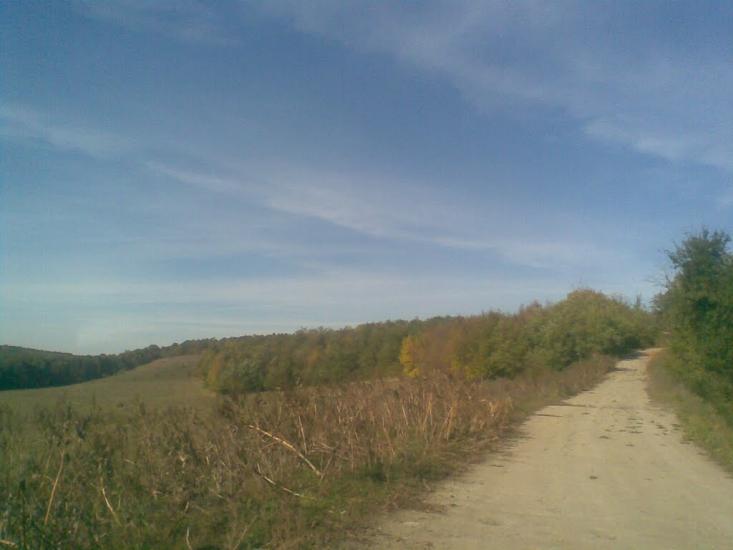 Лисогірка з panoramio.com - Лысогорка