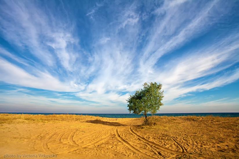 Берегове з panoramio.com - Берегове
