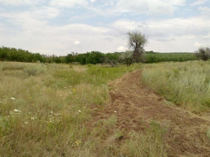 Красний Партизан з panoramio.com - Красный Партизан