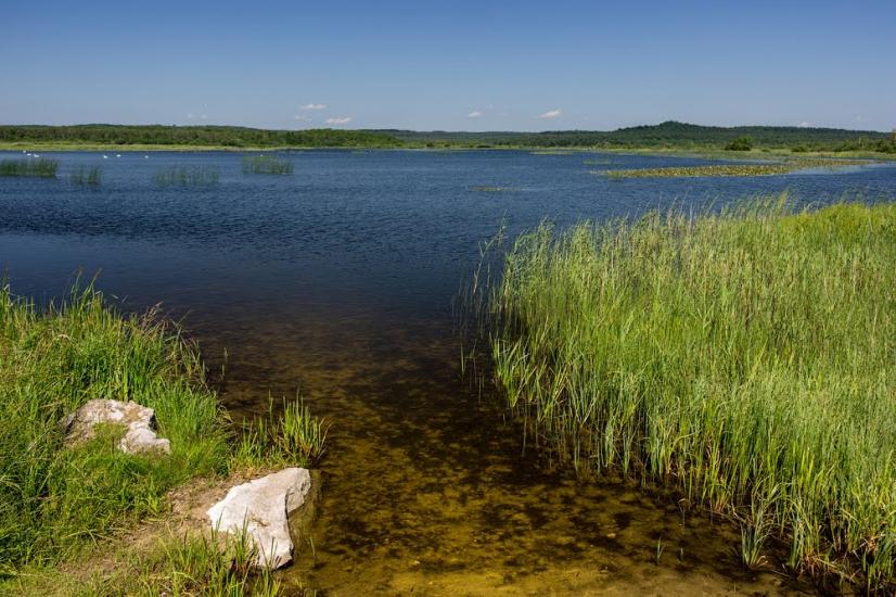 Івано-Франкове з panoramio.com - Ivano-Frankove