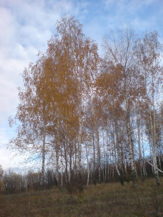 Старий Мерчик з panoramio.com - Старий Мерчик