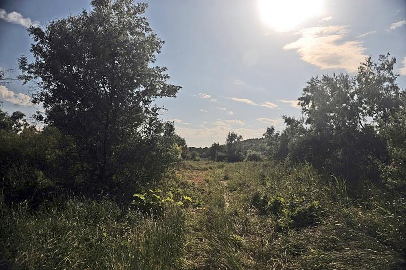 Олександро-Калинове з panoramio.com - Oleksandro-Kalynove