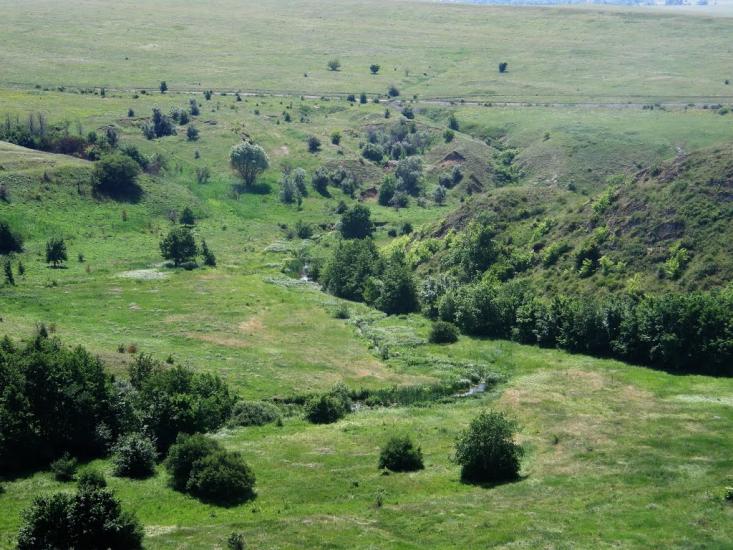 Киселеве з panoramio.com - Киселево
