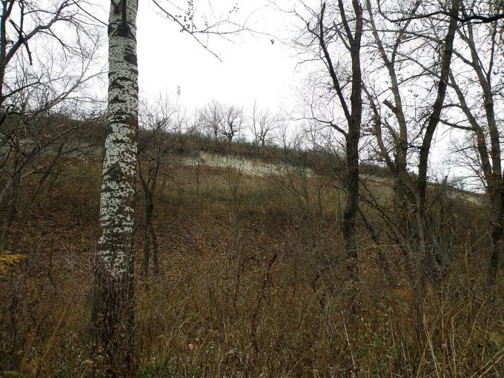 Кружилівка з panoramio.com - Kruzhylivka