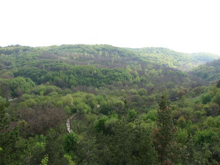 Бучак з panoramio.com - Бучак