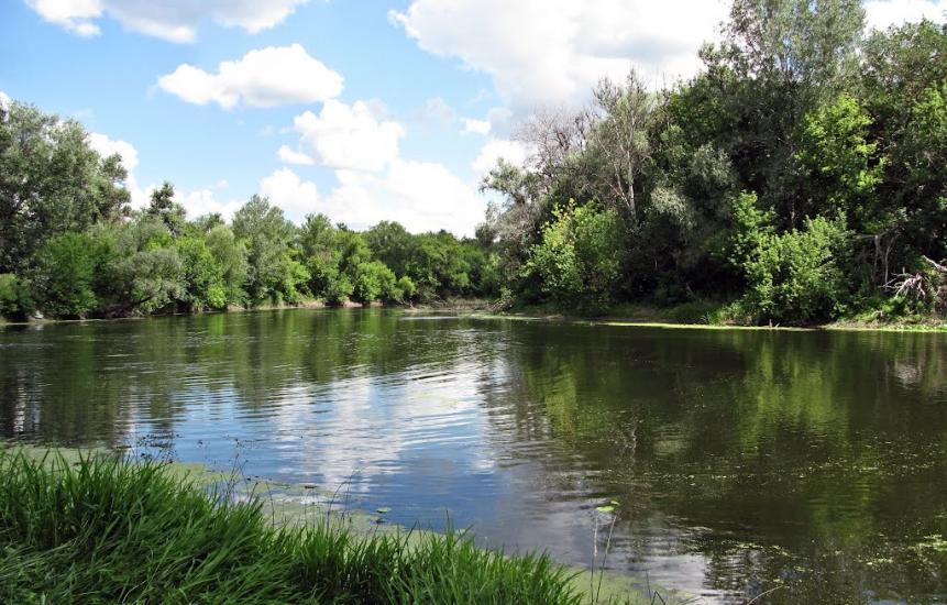 Пискунівка з panoramio.com - Pyskunivka