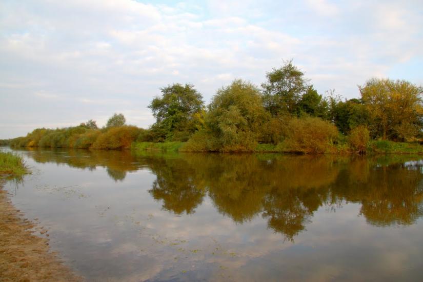 Вишевичі з panoramio.com - Vyshevychi
