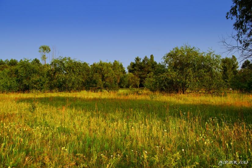 Білий Берег з panoramio.com - Bilyy Bereg