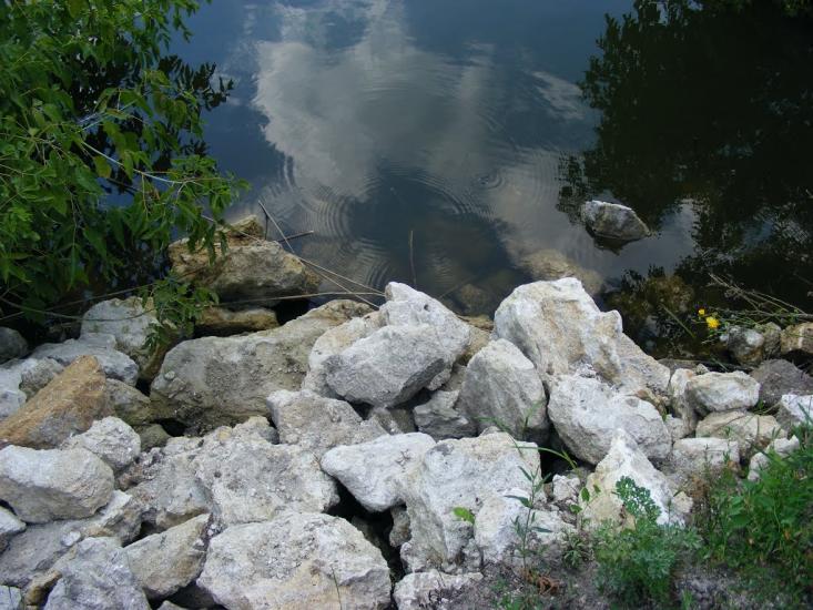 Примощаниця з panoramio.com - Примощаниця