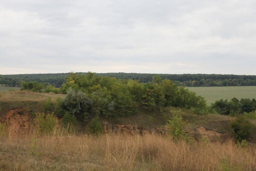 Велика Киріївка з panoramio.com - Большая Киреевка