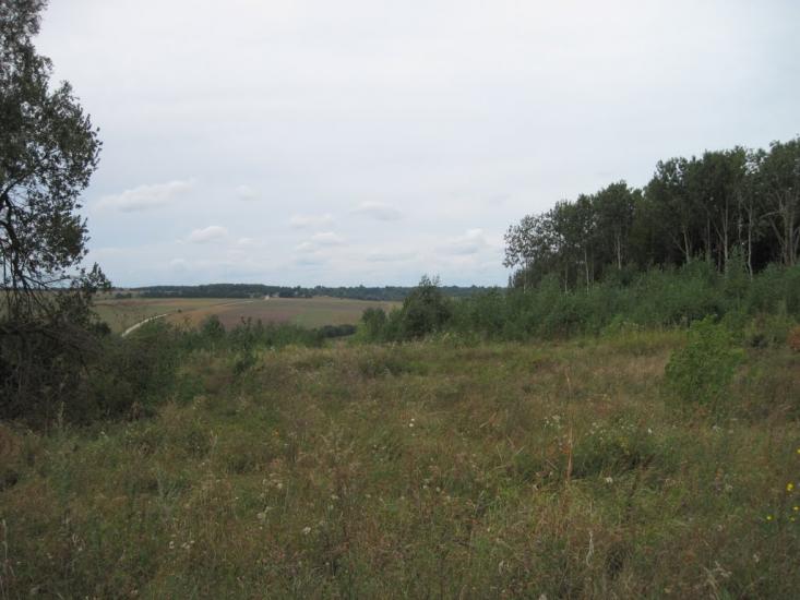Галузинці з panoramio.com - Galuzyntsi