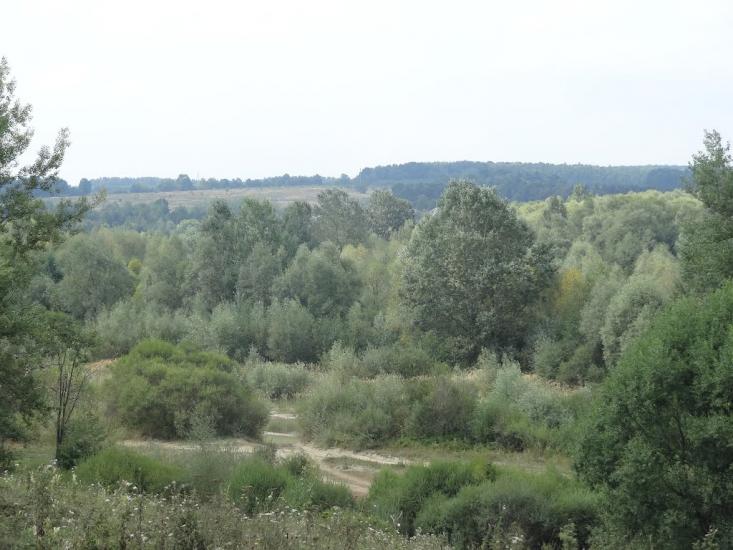 Купка з panoramio.com - Купка