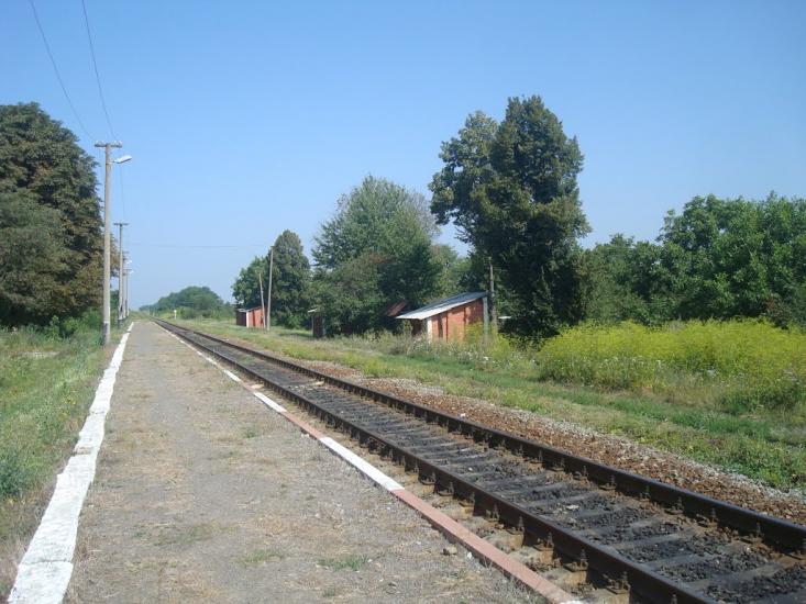 Тарасівка з panoramio.com - Тарасовка
