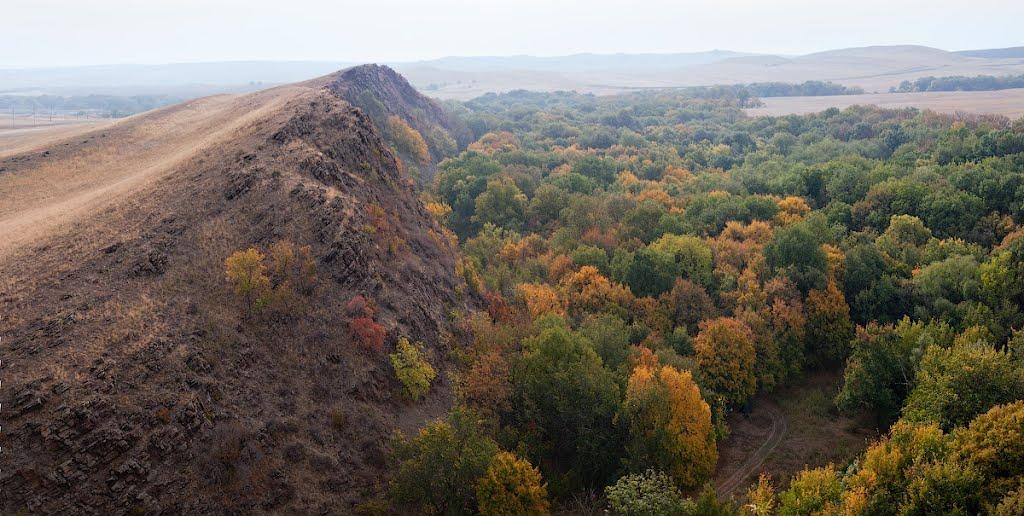 Черемшине з panoramio.com - Черемшино