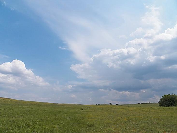 Польове з panoramio.com - Польове