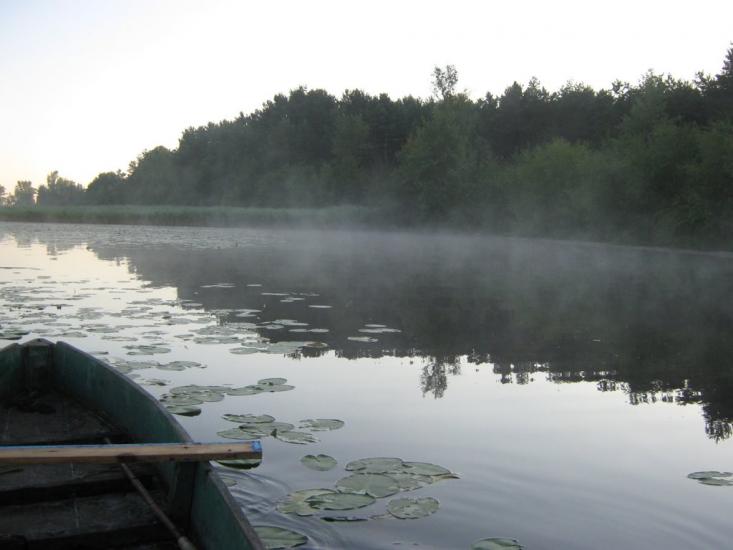 Котира з panoramio.com - Котыра