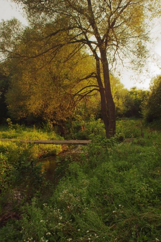 Браїлівка з panoramio.com - Брайловка