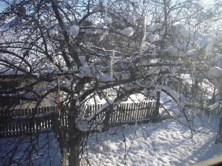 Аршиця з panoramio.com - Аршица