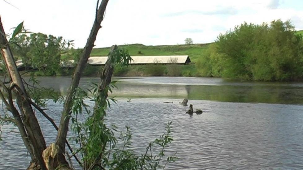 Горошків з panoramio.com - Горошків