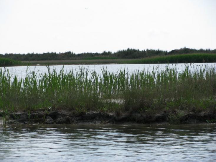 Генічеськ з panoramio.com - Геническ
