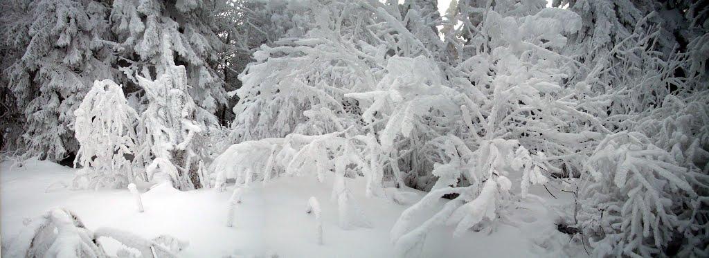 Тухолька з panoramio.com - Тухолька