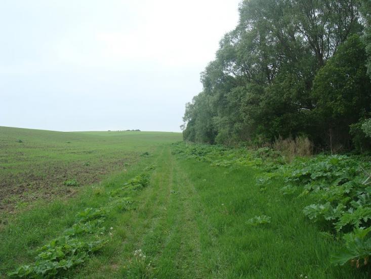 Мацьківці з panoramio.com - Мацьківці