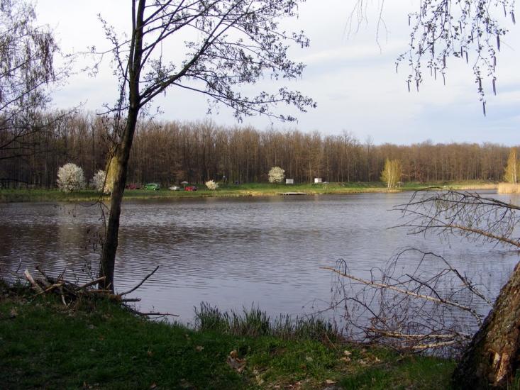 М'ясківка з panoramio.com - М'ясківка