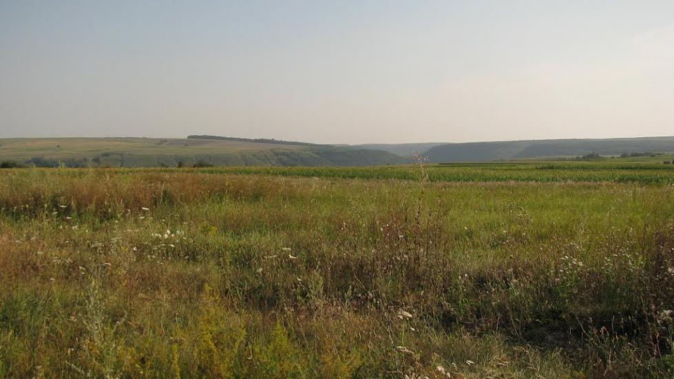 Більче-Золоте з panoramio.com - Більче-Золоте