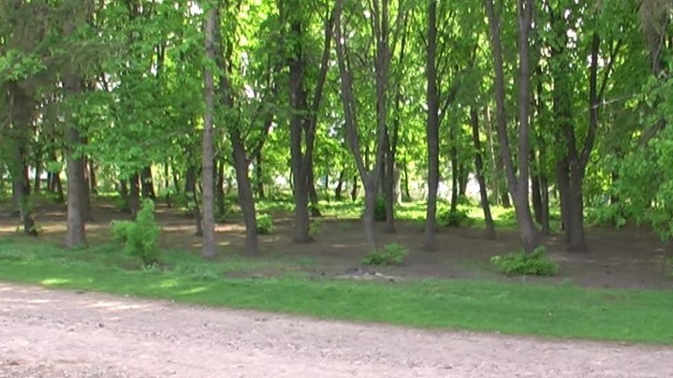 Горошків з panoramio.com - Горошков