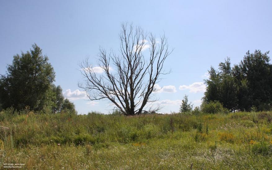 Ворзель з panoramio.com - Ворзель