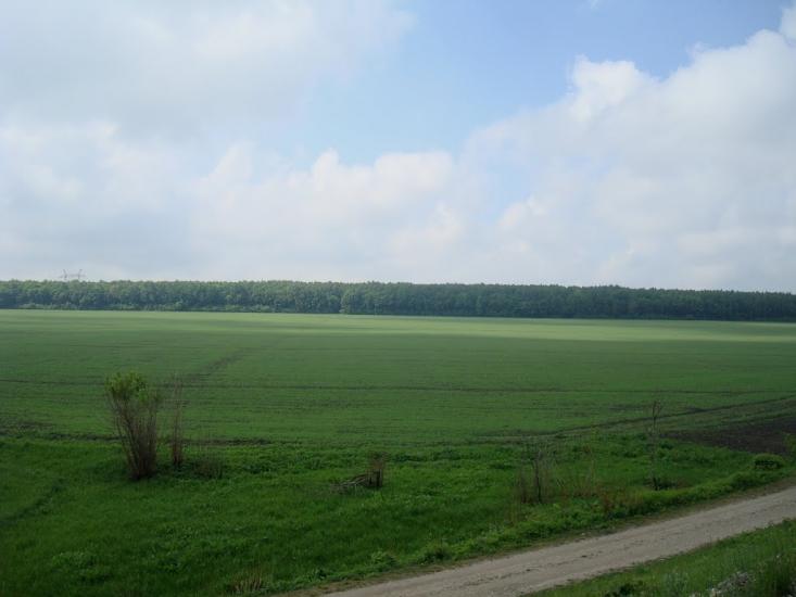 Нестерівці з panoramio.com - Нестеровцы