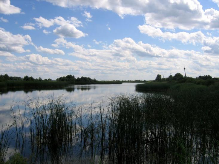 Вишевичі з panoramio.com - Вышевичи
