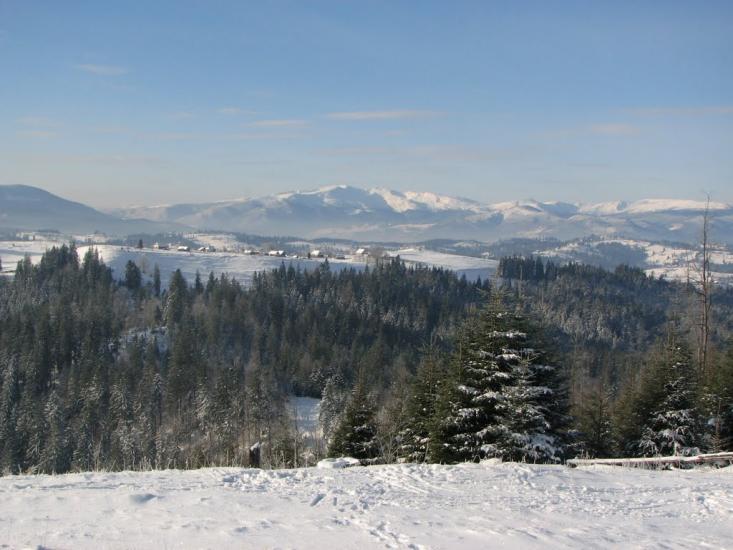 Вороненко з panoramio.com - Вороненко