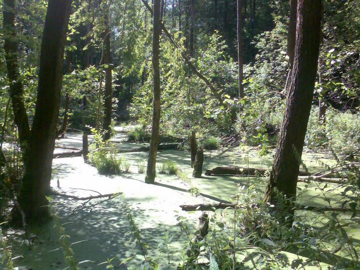 Ізбицьке з panoramio.com - Ізбицьке