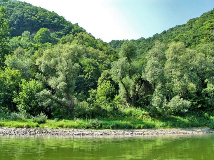 Іване-Золоте з panoramio.com - Иване-Золотое