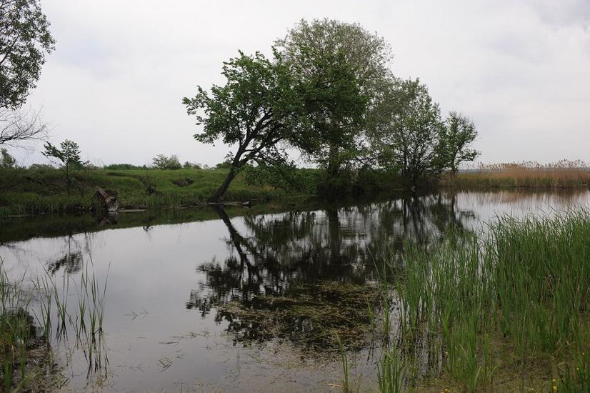 Ямпіль з panoramio.com - Ямпіль