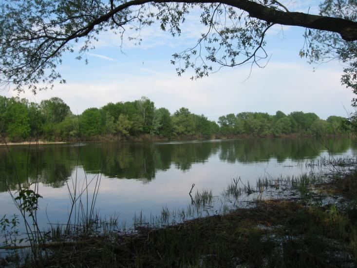 Садки з panoramio.com - Садки
