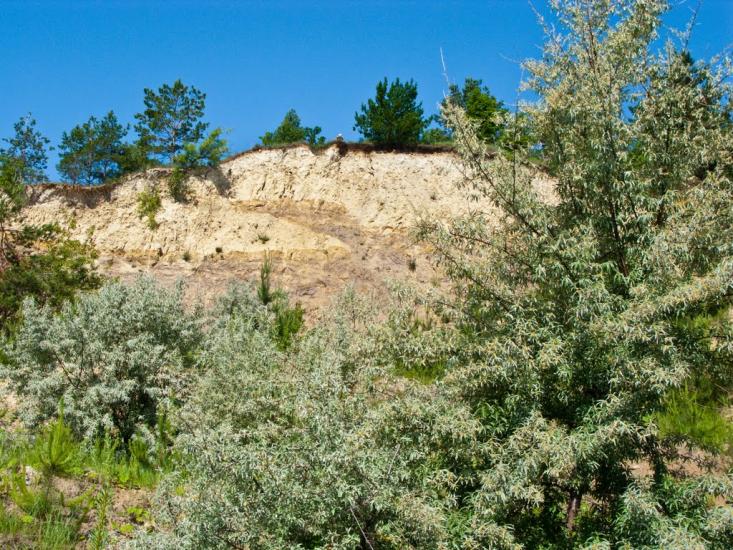 Бучак з panoramio.com - Бучак