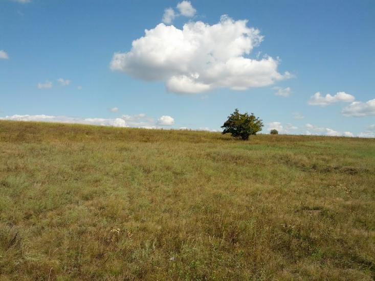 Юнокомунарівськ з panoramio.com - Юнокомунаровск