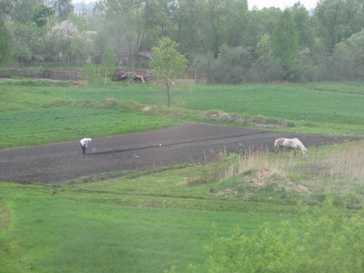 Колодяжне з panoramio.com - Колодяжне