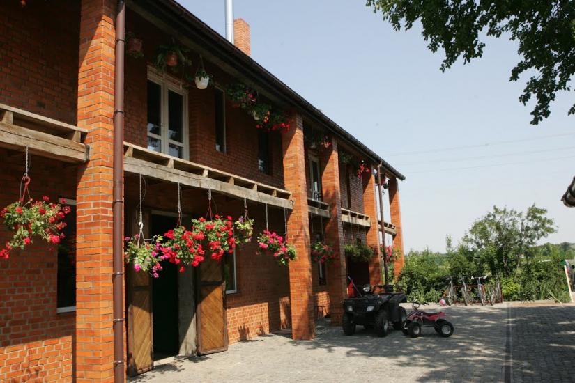 Синиця з panoramio.com - Синица