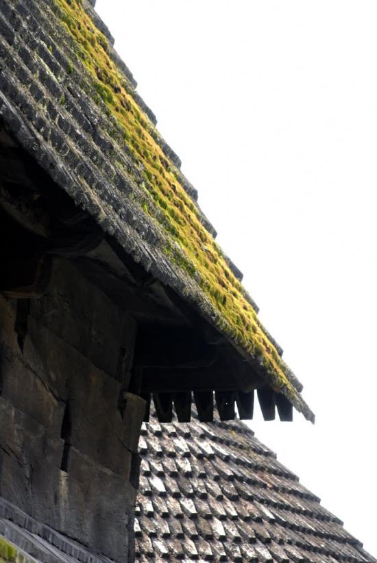 Діброва з panoramio.com - Діброва