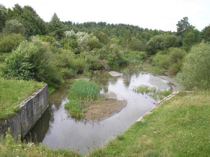 Берестовець з panoramio.com - Берестовець