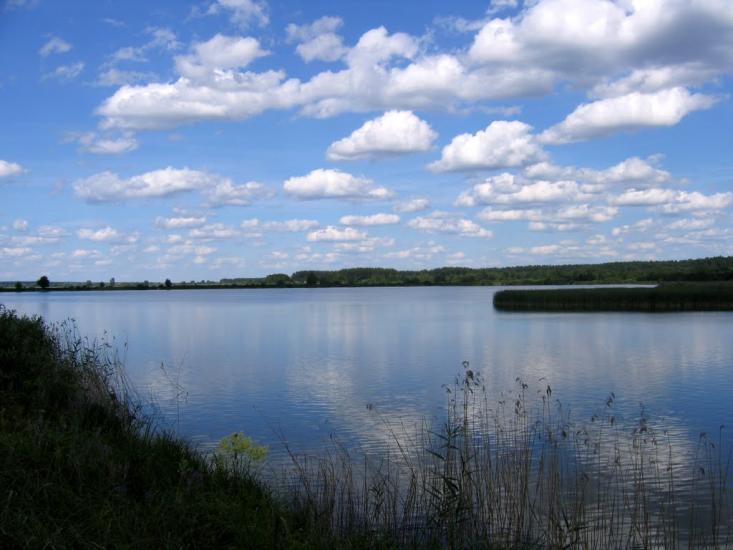Вишевичі з panoramio.com - Vyshevychi
