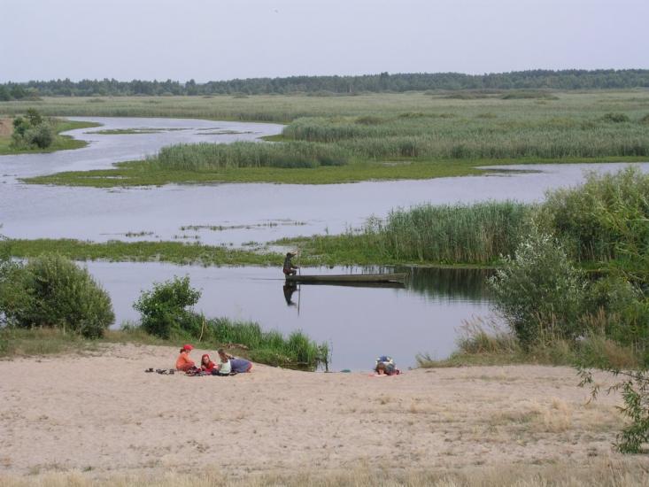 Сваловичі з panoramio.com - Сваловичи