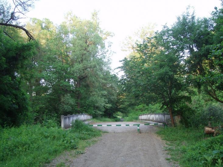 Партизанське з panoramio.com - Партизанское